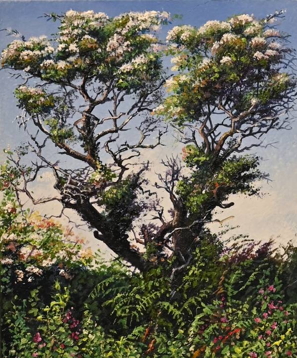 - Oil on Board, Painting by Nicholas Smith, measuring 13 x 10 cm (H x W) framed at 19 x 17 cm £185